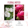Jasmine And Dragon Fruit Perfume Spray