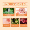 Sweet Peaches Perfume Oil