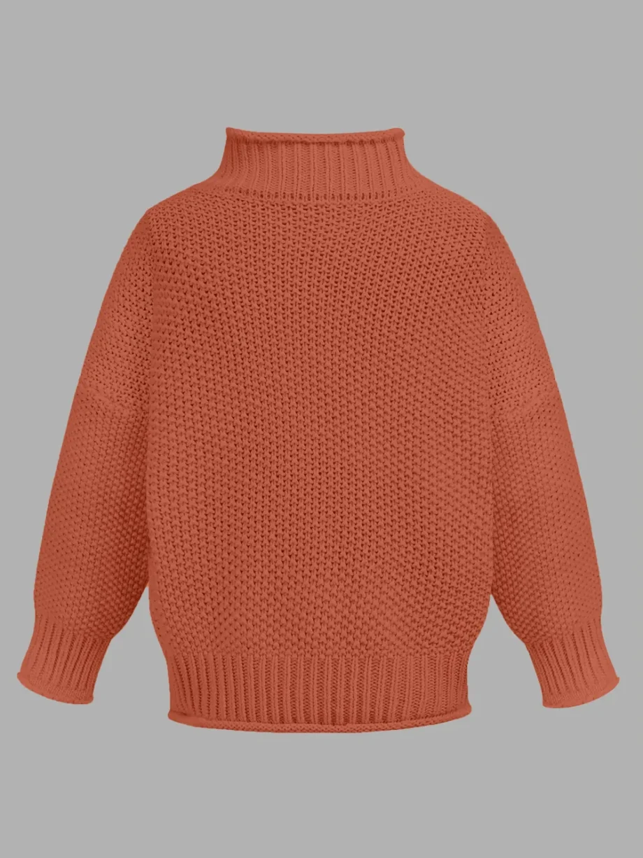 Cozy Turtleneck Knit Sweater